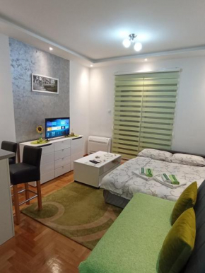 Apartment Leo 11